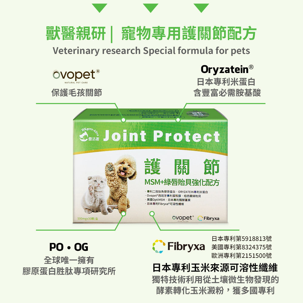 營活著 護關節 MSM+ 綠唇貽貝強化版
Joint protect (30顆)